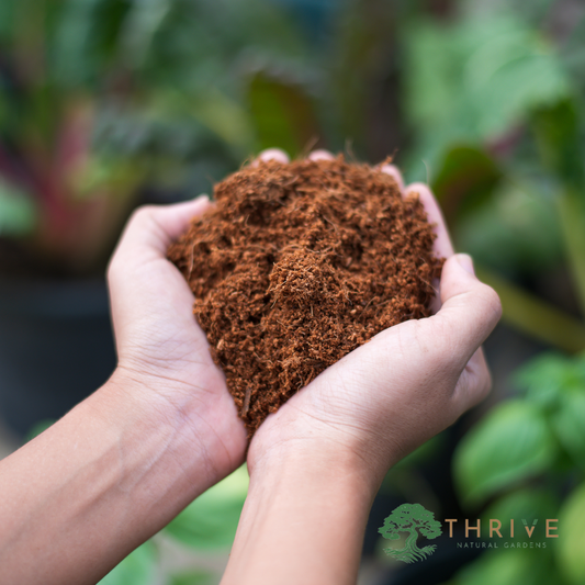 The Sustainability Advantage of Using Coconut Coir in Gardening