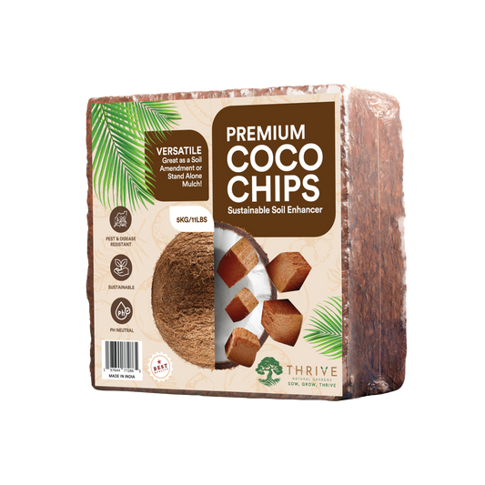 THRIVE PREMIUM COCO CHIPS